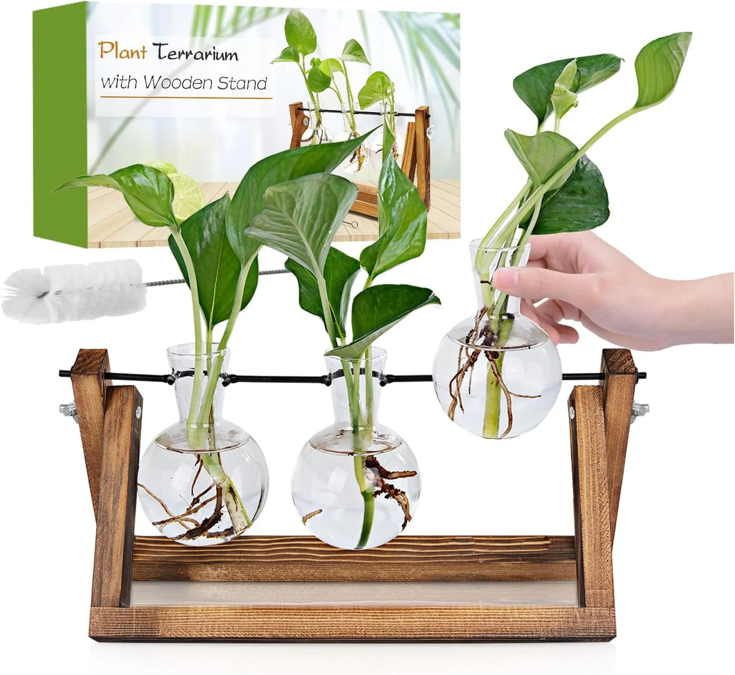 Yoobures Plant Terrarium with Wooden Stand