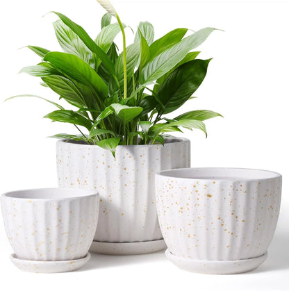 Yoobures Ceramic Plant Pots with Drainage Holes and Saucers