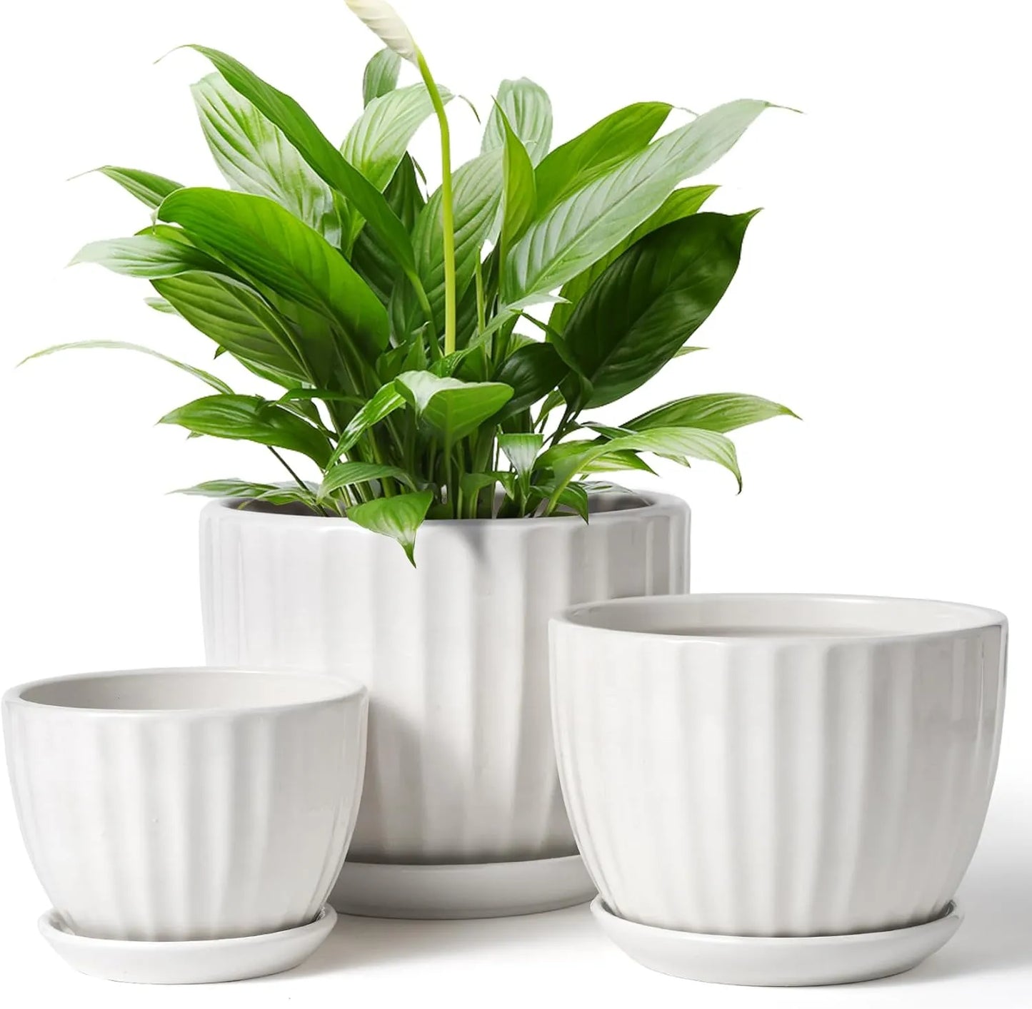 Yoobures Ceramic Plant Pots with Drainage Holes and Saucers