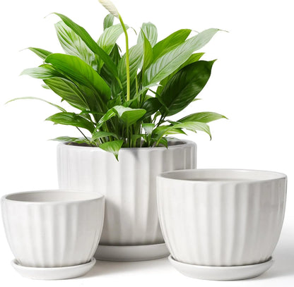 Yoobures Ceramic Plant Pots with Drainage Holes and Saucers