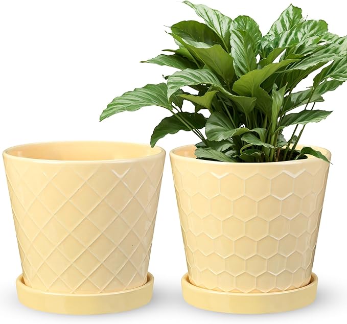 6" Ceramic Outdoor Planter with Drainage Holes and Tray