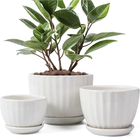 Yoobures Ceramic Plant Pots with Drainage Holes and Saucers