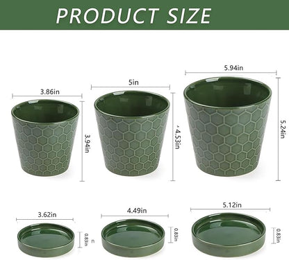 6" Ceramic Outdoor Planter with Drainage Holes and Tray