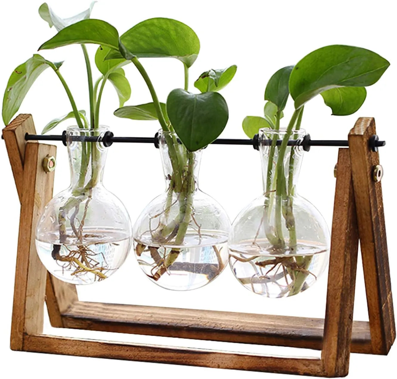 Yoobures Plant Terrarium with Wooden Stand