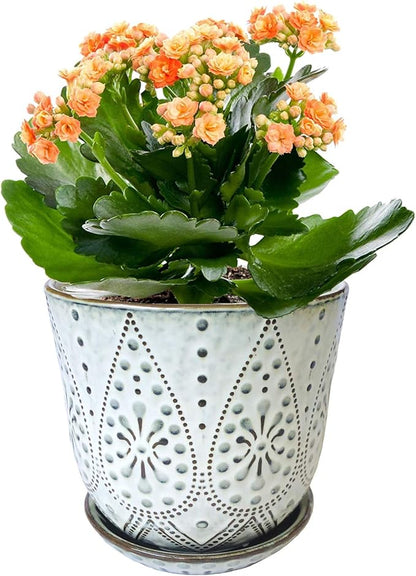 6" Ceramic Planter Set of 2 with Drainage Holes and Tray