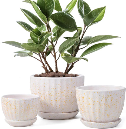 Yoobures Ceramic Plant Pots with Drainage Holes and Saucers