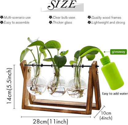 Yoobures Plant Terrarium with Wooden Stand