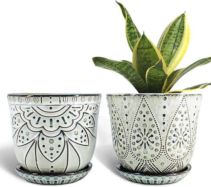 Ceramic Planter Set of 2