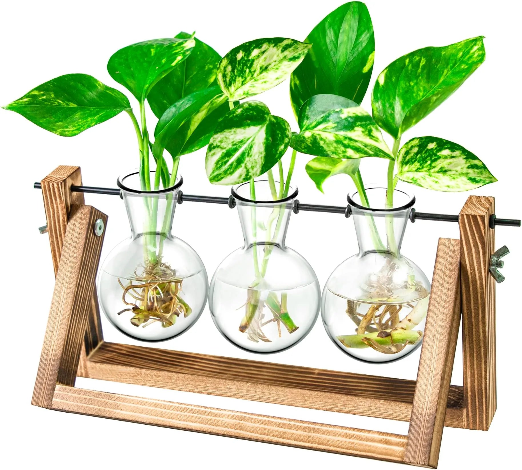 Yoobures Plant Terrarium with Wooden Stand