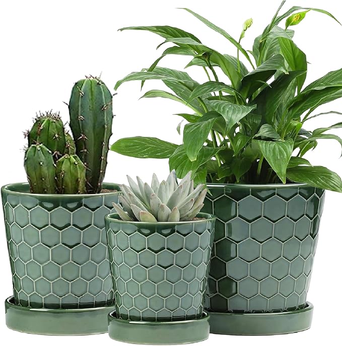 Ceramic Outdoor Planter