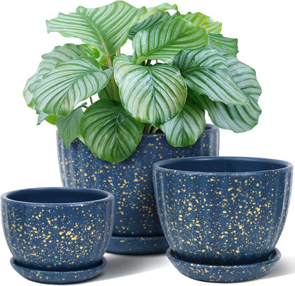 Yoobures Ceramic Plant Pots with Drainage Holes and Saucers