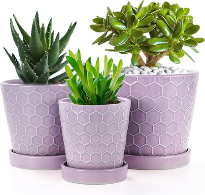 6" Ceramic Outdoor Planter with Drainage Holes and Tray